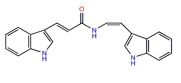 Chondriamide C